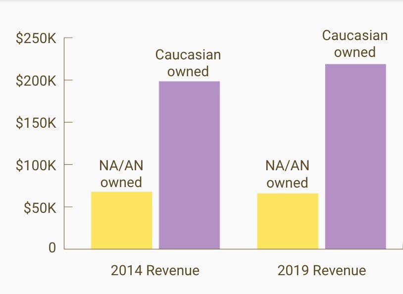Chart showing the difference between Caucasian-owned and Native American/Alaskan Native-owned businesses in revenue, 2014 and 2019. While Caucasian-owned businesses showed an increase, Native-owned businesses did not.