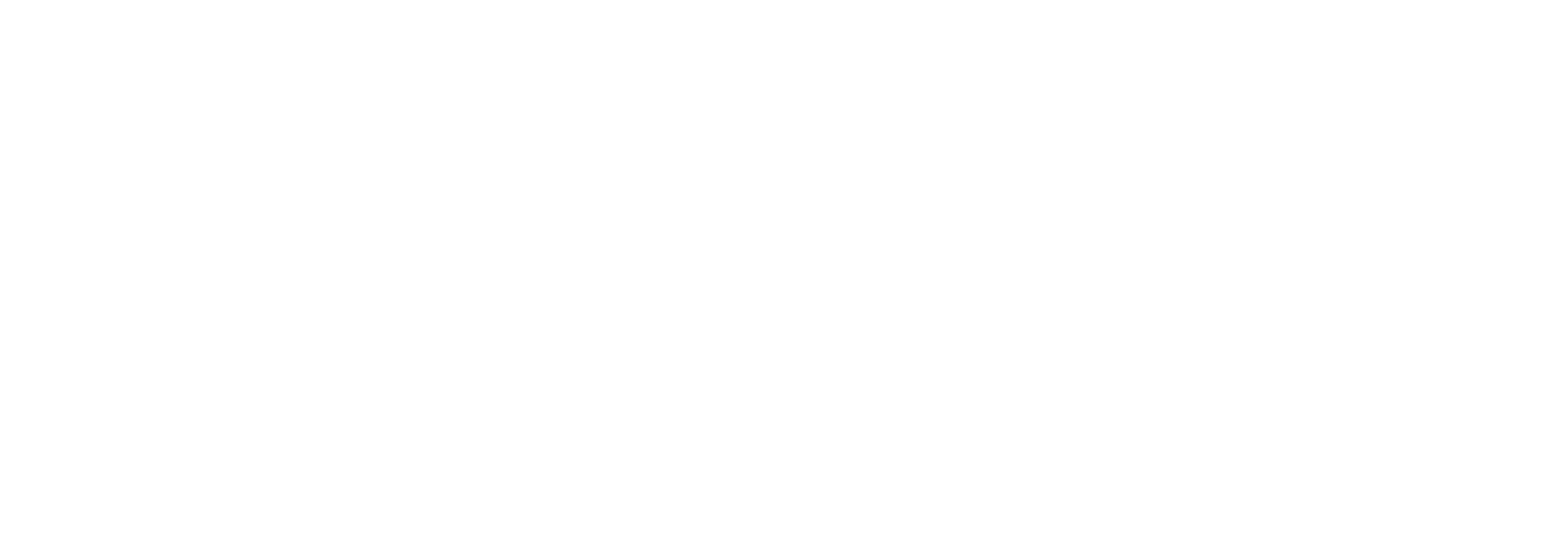 She Rises banner logo